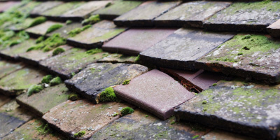 Haddenham roof repair costs